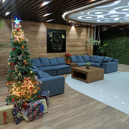 Luxury Suites , Calle 14Th 신데 델 카르멘 외부 사진