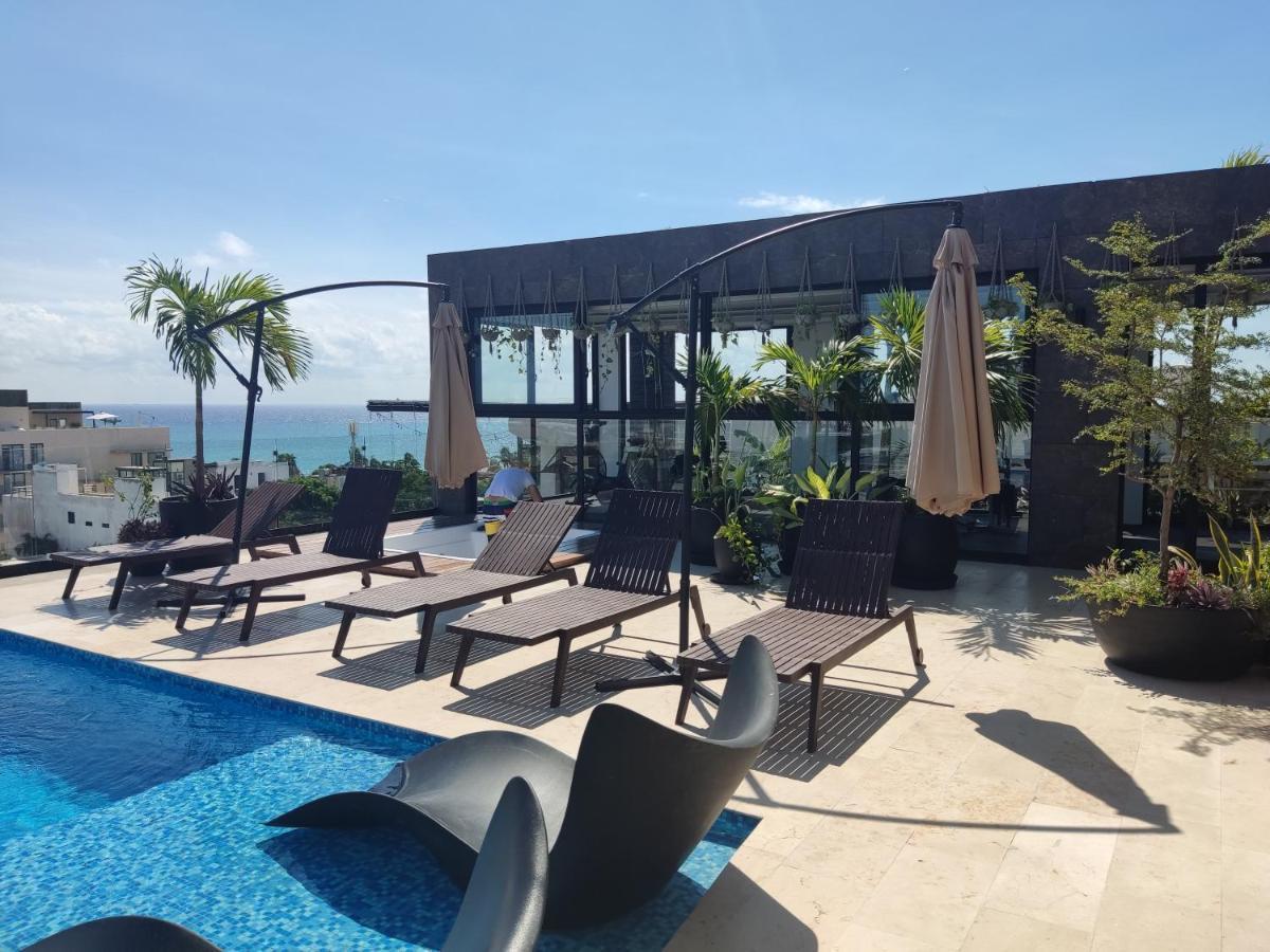 Luxury Suites , Calle 14Th 신데 델 카르멘 외부 사진