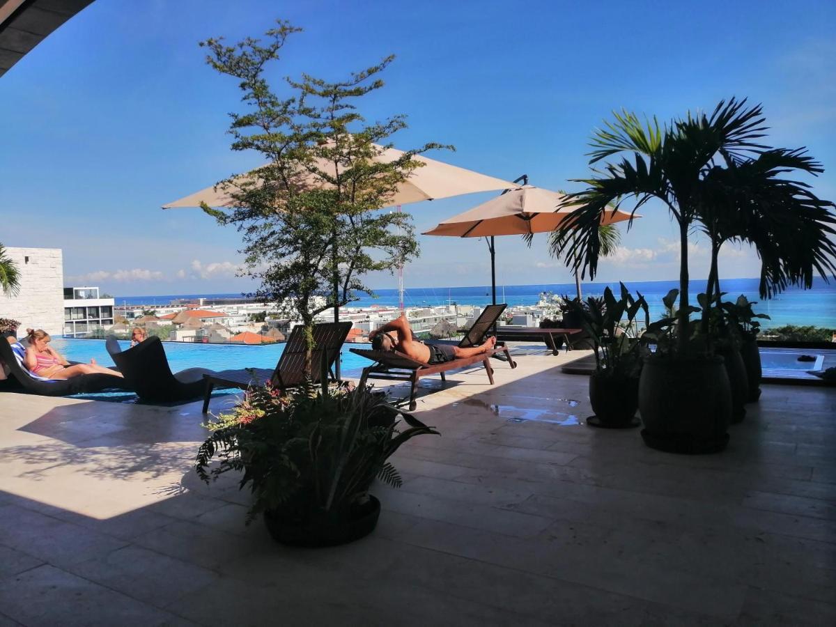 Luxury Suites , Calle 14Th 신데 델 카르멘 외부 사진